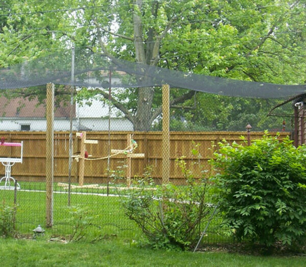 Vogelschutznetz - Image 4